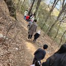 금성초병설유치원 | 대전 금성초 병설유치원 유아숲 체험 후기