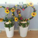 안덕초등학교 이미지