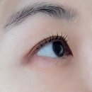 도봉-쌍문-도봉-1387 이미지