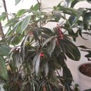 인천서구장애인자립생활센터 이미지