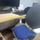 장시간 앉아도 편안한 밸런스온 기능성 핏시트 방석 솔직 후기!