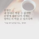 수갤러리 이미지