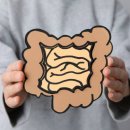 선암호수태권도 이미지