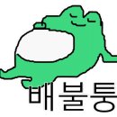 이자카야화분 이미지