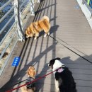 워니시티 이미지