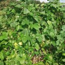 옥천농장 이미지