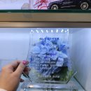 김포대로 2230번길 이미지