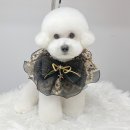 몽트라슈 이미지