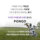 로망펫 | 펫드라이룸 왜 쓸까요? 이거 모르고 사면, 진짜 3번 후회합니다!!