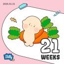 네네치킨 | [21-27주] 입체초음파 그리고 임당검사(이사완료, 두쫀쿠에서 봄동 그리고 버터떡까지 유행따라가기...