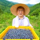 청정자연지리산