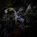 창석농장 이미지