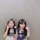 별나무 이미지