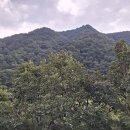 명월2리 이미지