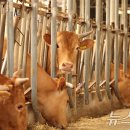 김태성농장 이미지