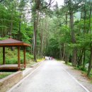 봉암동199 이미지