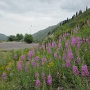 호수농장2 이미지