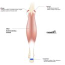 CM Fitness 이미지