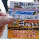 새벽별펜션 | 좋긴한데 강화도 가볼만한곳 개막힘 주의 무진장활어회센터 하나로마트 서산갯마을 새벽별펜션 칼국수 카페