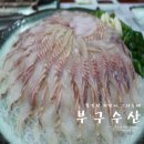 부구수산 이미지