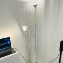 학동초교 | 🔥 강남체형관리 실후기 | AI스캔하자마자 나온 어깨·등 불균형 결과… 충격 😳