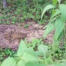 중광농장 이미지