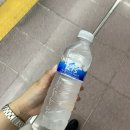 새일목장 네이버블로그