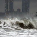 태풍노래연습장 이미지