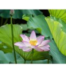 (주)세종디자인