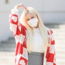 다영주