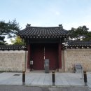 창덕궁 금호문과 송학선의사의거터 표석, 480년 묵은 돈화문 은행나무