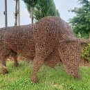 RENEW-태초의 이미지