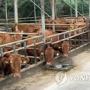 홍우유통 - 공주시 산성동 | 홍우유통