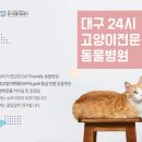스펀지동물병원 네이버블로그