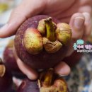 웜트리하우스(주) 이미지