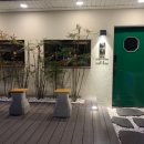 빛과당신 이미지