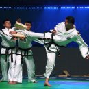 장웅태권도 이미지