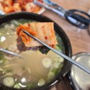 유일설렁탕 | 일산 설렁탕 추천! 스레드 보고 찾아간 유일설렁탕 내돈내산 후기