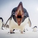 펭귄PC방 이미지