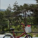 델루나 관광펜션 네이버블로그