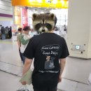 한국사료주식회사 | 코엑스 서울커피엑스포+한국국제베이커리페어 관람 후기/비엣남커피,썬양의자연주의,묘차,아라리유정란☕️🥖