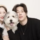 포마이티니