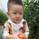 할머니농장 이미지