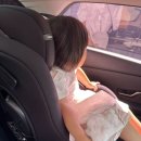 (주)해피렌트카 | 제주 해피렌트카 두번째 이용 후기