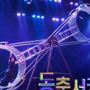 동춘서커스상설공연장 네이버블로그