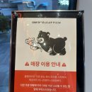 피자피크수성점 | 대구 수성구 범어동 맛집 피자가 맛있는 클랩피자 대구 빌리브 헤리티지점