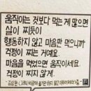 빅마마한식 | [호주 워홀 후기] 내 1년 간의 호주🇦🇺 워킹홀리데이 생활을 마치며 -2 케언즈편 👩‍💻