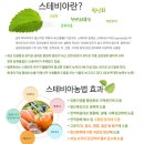 신토불이 스테비아 농법 황토밭 단감 50% 맛보기 이벤트 이미지