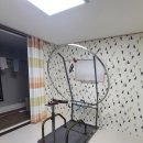 늘푸른 골프 이미지