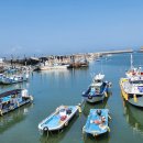 도리도민박 이미지